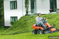 Peak Summer Lawn Care: Essential Maintenance Tips for Healthy Grass