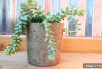 DIY Concrete Planters: Step-by-Step Guide for Stylish Pots