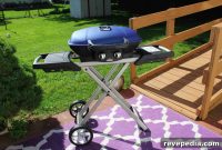 Master Gourmet Grilling with Napoleon: Tips, Recipes & Gear