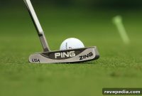 Build a Backyard Putting Green: Step-by-Step Guide for Homeowners