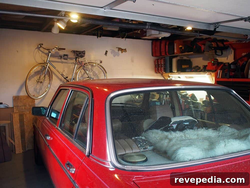 featured 17472