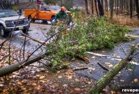 Safe Storm Cleanup: Step-by-Step Guide for Post-Storm Recovery