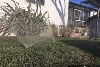 Fix Overwatering with the Rachio 3 Smart Sprinkler Controller