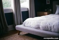 Effective Ways to Eliminate Bed Bugs from Your Home