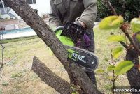 How to Fell a Tree Safely with an Electric Chainsaw