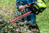Greenworks Cordless Hedge Trimmer Review: Power, Battery Life & Tips