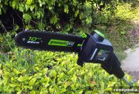 Trim Tall Hedges Faster with a Cordless Pole Saw
