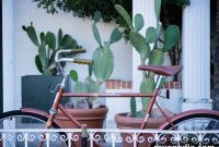 Why I Love Living in Tucson, Arizona: Sun, Culture & Outdoors