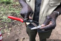 Felco Partners with African Women Rising to Boost Farm Productivity