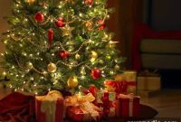 Caring for a Real Christmas Tree: Tips to Keep It Fresh All Season