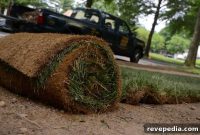 Lay Sod for a Lush Spring Lawn: Timing and Step-by-Step Guide