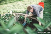 Celebrate Earth Day with Greenworks: Eco-Friendly Lawn & Garden Tools