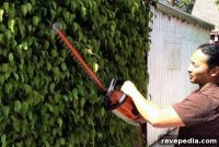 STIHL HSA 65 Cordless Hedge Trimmer Review: Performance & Run Time