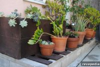 Build a Custom Wooden Planter Box: Step-by-Step Guide