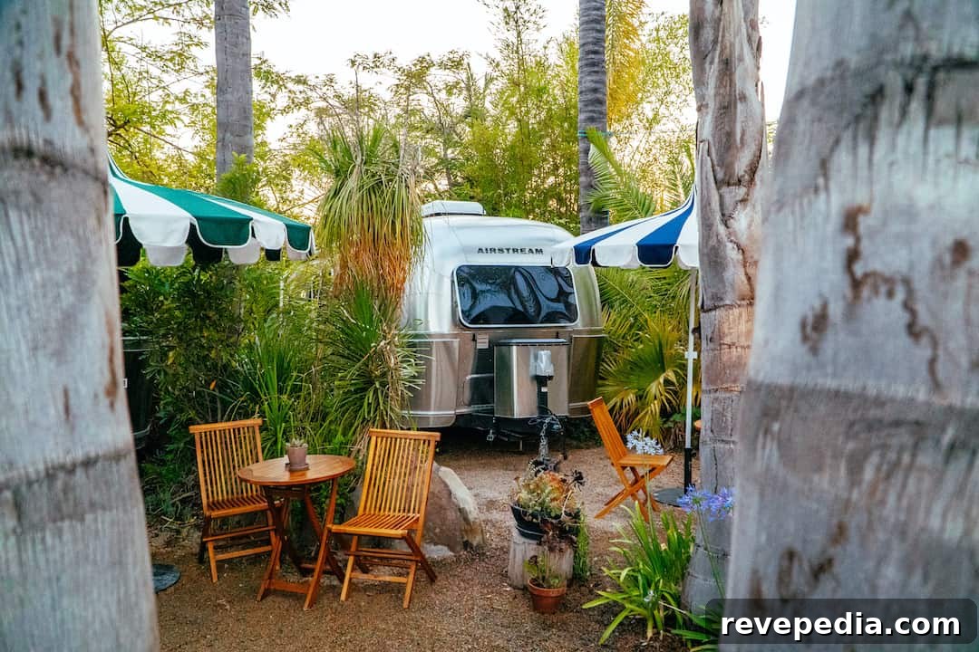 featured 28622