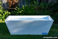 Cold Plunge Benefits: How Cold Water Therapy Boosts Recovery and Focus