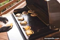 Recteq SmokeStone 600 Review: Wood-Fired Griddle Performance and Tips