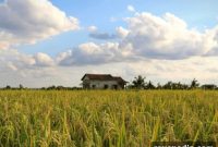 Escape City Life: Create a Rural Lifestyle You Truly Love
