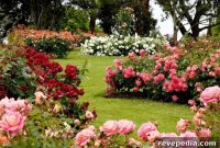Stylish Yard and Garden Design Ideas for Every Home