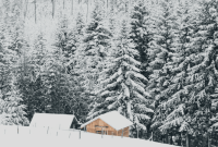Improve Home Thermal Performance in Calgary: Practical Upgrades and Tips