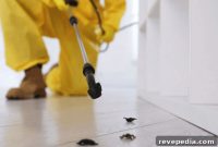 Seal Apartment Entry Points to Stop Bugs and Rodents Fast