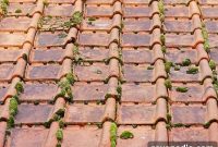 How Cuyahoga County Roofers Manage Emergency Roof Damage Cases