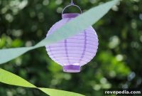 4 Creative Ideas for an Unforgettable Backyard Party Theme
