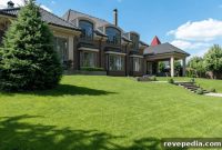 Sustainable Yard Upgrades for a Greener, Healthier Outdoor Space