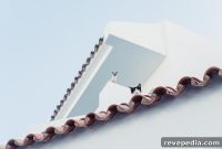 Choosing the Right Residential Roofing Material for Your Home