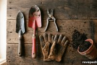 Essential Gardening Tools Every DIY Homeowner Needs (and What to Skip)