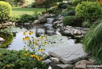 Why Pressurized Pond Filters Are Essential for Clear Water