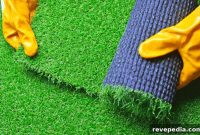 7 Reasons Tempe Homeowners Prefer Artificial Turf Over Grass