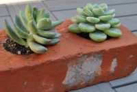 DIY Brick Succulent Planters: Step-by-Step Building Guide