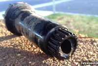 Replace a Broken Sprinkler Head: Step-by-Step Repair Guide