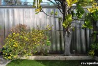 How to Build a Backyard Privacy Fence That Lasts