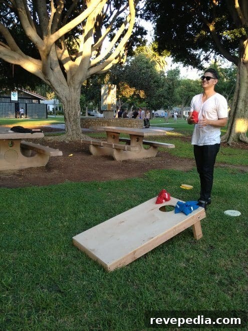 DIY Stars and Stripes Bean Bag Toss Boards: Step-by-Step Guide 3 photo 1