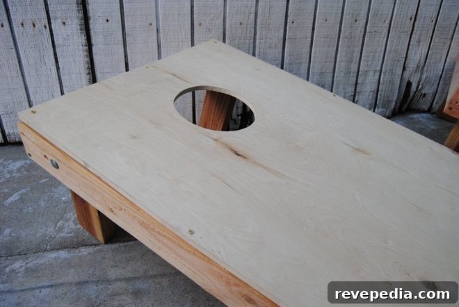 DIY Stars and Stripes Bean Bag Toss Boards: Step-by-Step Guide 9 DSC_0567