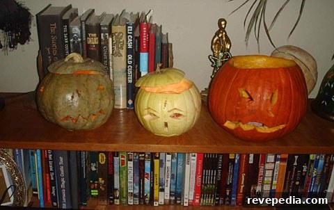 Matthew Gray Gubler’s Halloween Haunt: Behind the Spooky Decor 11 img 1078 10