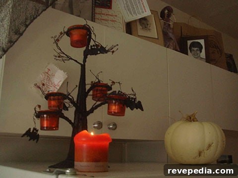 Matthew Gray Gubler’s Halloween Haunt: Behind the Spooky Decor 5 img 1078 4