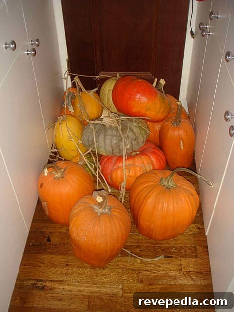 Matthew Gray Gubler’s Halloween Haunt: Behind the Spooky Decor 7 img 1078 6