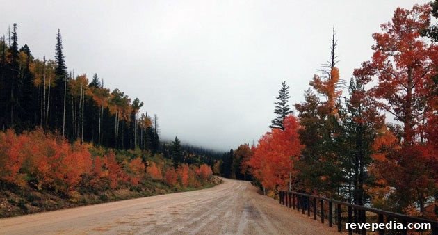 Win a GreenWorks Blower/Vac + Fall Tool Giveaway — Gear Up for Autumn 3 fall-colors-utah
