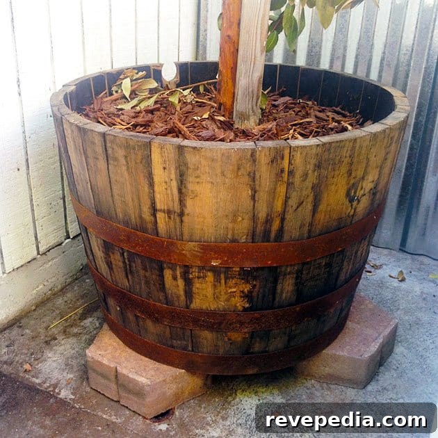 Prep a Whiskey Barrel for Planting: Step-by-Step Guide 4 whiskey-barrel-planter