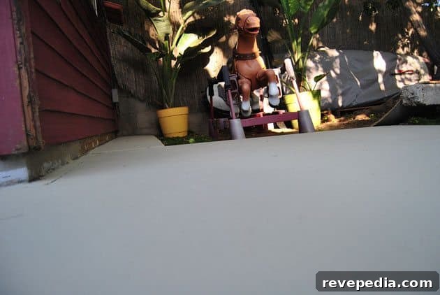 Win an Olympic Deck & Patio Rescue Prep Kit — Enter to Win 3 close-up-after
