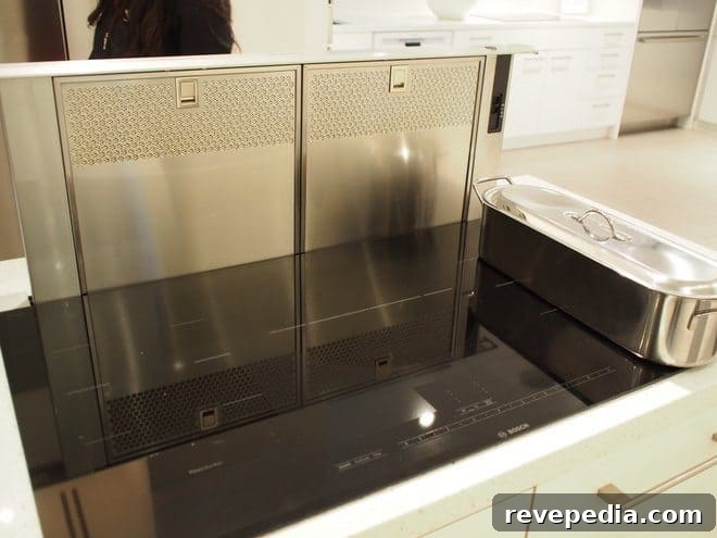 Range vs Stove vs Cooktop: Key Differences Explained 8 Downdraft ventilation