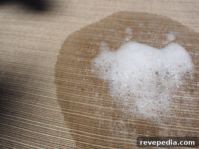 Keep Patio Furniture Clean: Remove Dirt, Stains & Mildew 4 scotts-foam