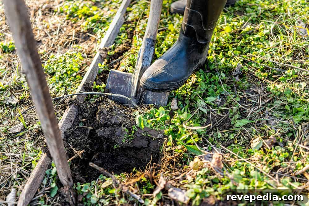 Find Frost Line Depth by ZIP Code Before Digging Footings 7 digging a hole with a shovel