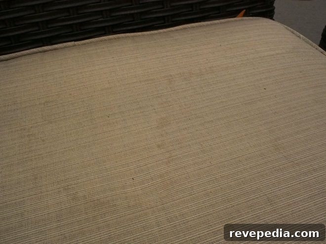 Clean Mold and Grime from Outdoor Furniture and Patios with Concrobium 9 img 15627 10