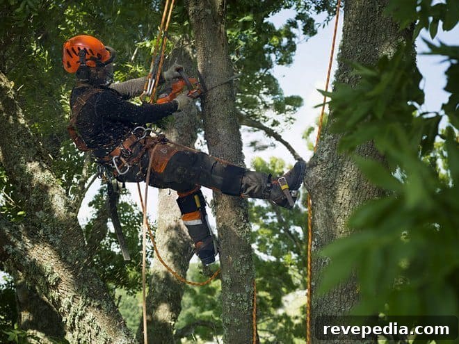 Husqvarna’s Latest Battery-Powered Outdoor Tools: Review & Guide 3 img 16467 8