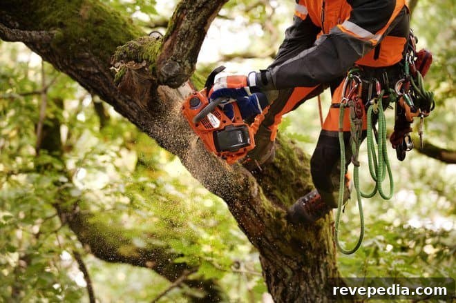Husqvarna’s Latest Battery-Powered Outdoor Tools: Review & Guide 4 img 16467 9