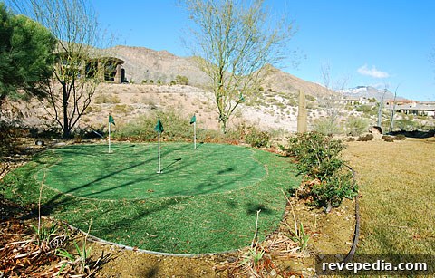 Build a Backyard Putting Green: Step-by-Step Guide for Homeowners 3 putting-green-home.jpg